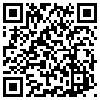 QR Code Handyversion