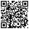 QR Code Handyversion