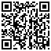 QR Code Handyversion