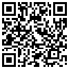 QR Code Handyversion