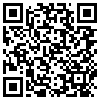 QR Code Handyversion