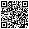 QR Code Handyversion