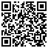 QR Code Handyversion