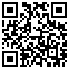 QR Code Handyversion