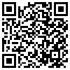 QR Code Handyversion