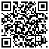 QR Code Handyversion