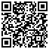 QR Code Handyversion