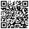 QR Code Handyversion