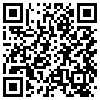 QR Code Handyversion