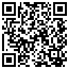 QR Code Handyversion