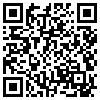 QR Code Handyversion