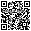 QR Code Handyversion