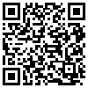 QR Code Handyversion