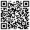 QR Code Handyversion