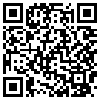 QR Code Handyversion