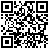 QR Code Handyversion
