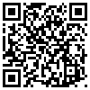 QR Code Handyversion