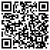 QR Code Handyversion