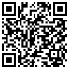 QR Code Handyversion