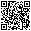 QR Code Handyversion