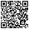 QR Code Handyversion