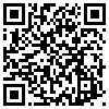 QR Code Handyversion