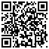 QR Code Handyversion