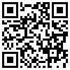 QR Code Handyversion