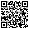 QR Code Handyversion