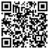 QR Code Handyversion