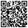 QR Code Handyversion