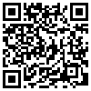 QR Code Handyversion