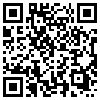 QR Code Handyversion