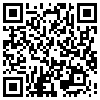 QR Code Handyversion