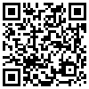 QR Code Handyversion