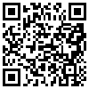 QR Code Handyversion