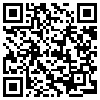 QR Code Handyversion