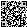 QR Code Handyversion