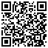 QR Code Handyversion