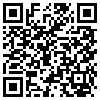 QR Code Handyversion