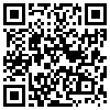 QR Code Handyversion