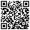 QR Code Handyversion