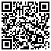 QR Code Handyversion