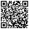 QR Code Handyversion