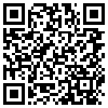 QR Code Handyversion