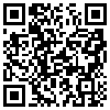 QR Code Handyversion