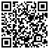 QR Code Handyversion