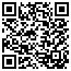 QR Code Handyversion