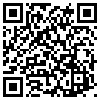 QR Code Handyversion