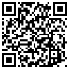 QR Code Handyversion